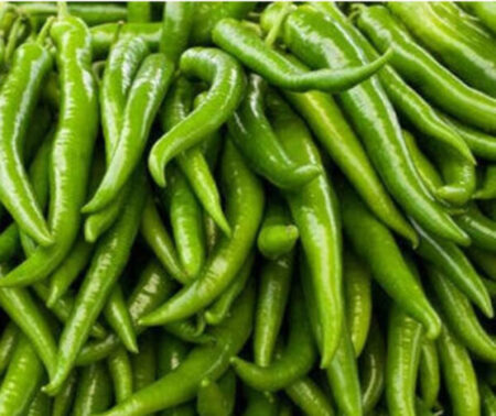 Green Chilli – G20