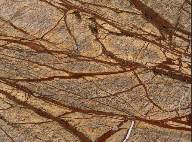 Rain Forest Brown Marble